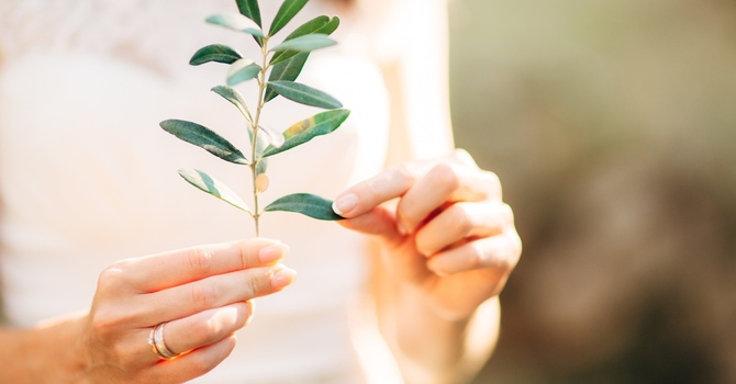 The Anxiety Continuum: Understanding the Mind-Body Connection and How to Find Real Relief  image