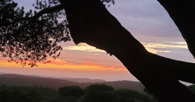 Breaking the Cycle: How Uncovering Your Relationship Patterns Opens the Door to Real Connection  image